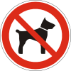 dogs-98628_960_720