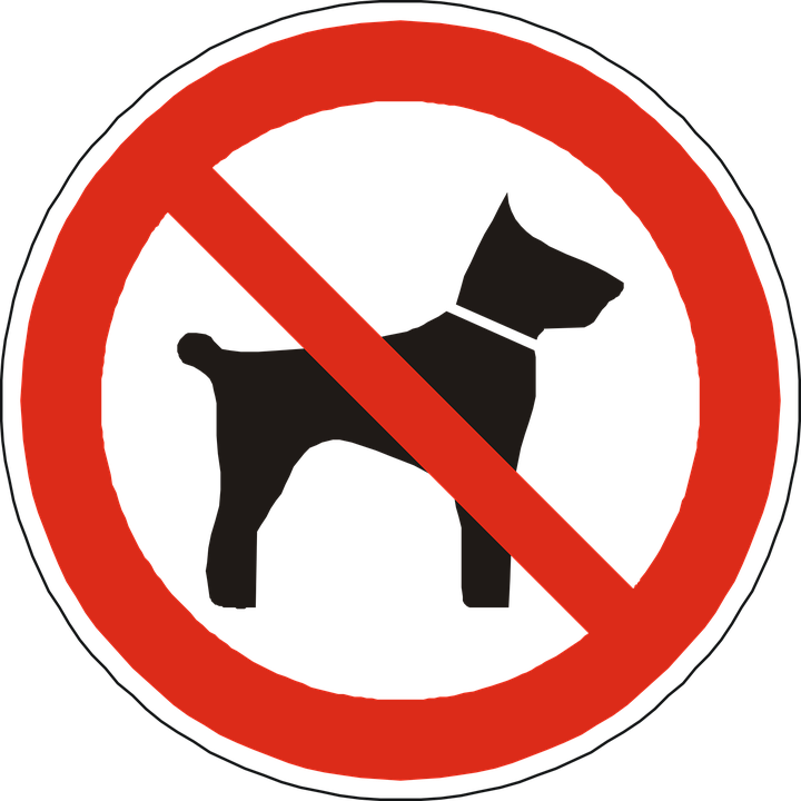 dogs-98628_960_720